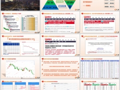 风险管理先后顺序与解决方案养老专题26页.pptx