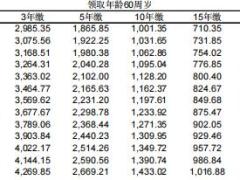 中宏养老无忧养老年金险条款费率现金价值产品说明.zip