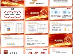 法商视角下的保险需求婚姻风险风险规避财富规划22页.pptx