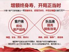 太平人寿国强一号3年5年10年交计划书讲解流程销售逻辑37页.pptx
