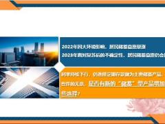 天安人寿鑫传家臻享版终身寿险背景篇20页.pptx