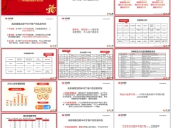 中华福经典版产品介绍优势总结30页.pptx