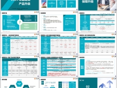 2024安盛卓越馨选产品核保升级健康管理服务40页.pptx 