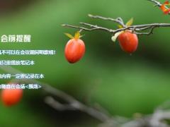秋天红柿子早会流程模板10页.pptx