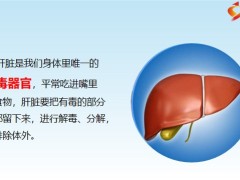 每日健康三个穴位最养肝碰一碰就有效睡不好爱生气的都看看10页.pptx