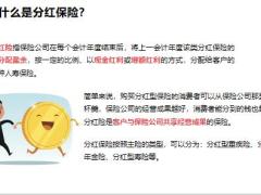 中意一生中意终身寿险分红型红利来源投保规则案例演示37页.pptx