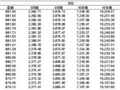 中宏宏盈人生金典版两全保险条款费率.zip