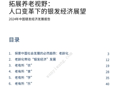 2024年中国银发经济发展报告46页.pdf 