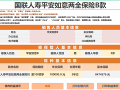 国联人寿平安如意两全保险B款产品计划书.xlsb