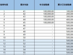 信泰永爱传承2025终身寿险单机版计划书.xlsx 