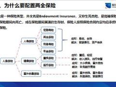 财信人寿安行保背景理念产品介绍14页.pptx