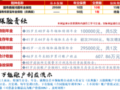 中国人寿鑫耀鸿图自动计划书.xlsx