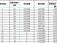 鼎诚—生关爱颐享版养老年金保险利益演示表.xlsx 