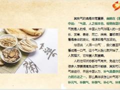 每日健康补气是提高免疫力最快方法一味中药就能够补肺气补脾气补肾气10页.pptx