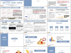 信泰千万传承巡航版终身寿背景产品特色责任案例29页.pptx 