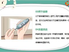 每日健康白菜一直被低估高叶酸高维C护血管养脾胃中风也跑远14页.pptx