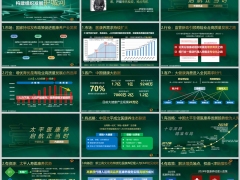 2024市场行业客户医康养经理人项目介绍外部机会内部优势太平版41页.pptx