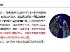 如何利用行业协会进行裂变式营销案例分析20页.pptx