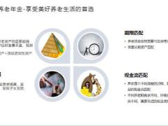 合众稳增优年养老年金保险产品形态六大特色客户画像案例投保规则26页.pptx