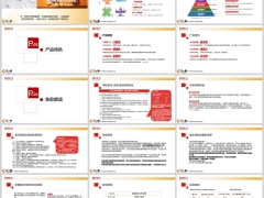 和泰畅享金生终身寿险产品特色条款解读案例演示21页.pptx 