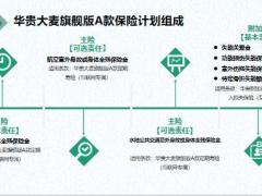 华贵大麦旗舰版A款保险计划介绍开发背景认知服务计划温馨提示其他37页.pptx