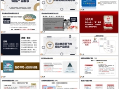 民法典背景下法商思维保险产品解读年金保险保单架构示例含备注47页.pptx