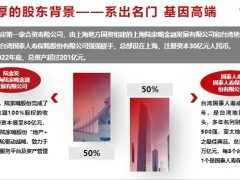 陆家嘴国泰公司介绍产品系列介绍鑫系传世介绍优势31页.pptx