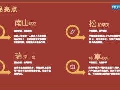 瑞众南山松瑞享版终身寿险产品形态特色案例演示16页.pptx