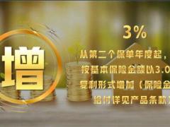 幸福慧享终身寿险产品学习五要素案例18页.pptx