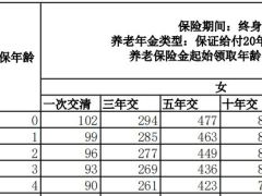 民生鑫有所依养老年金保险条款费率.zip