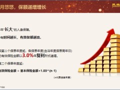 民生传世稳赢终身寿险特色产品案例篇27页.pptx