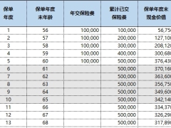 爱心人寿百岁人生养老年金保险慧享版利益演示书.xlsx 