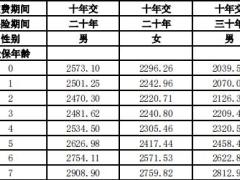 民生百万能量少儿两全保险条款费率现金价值.zip